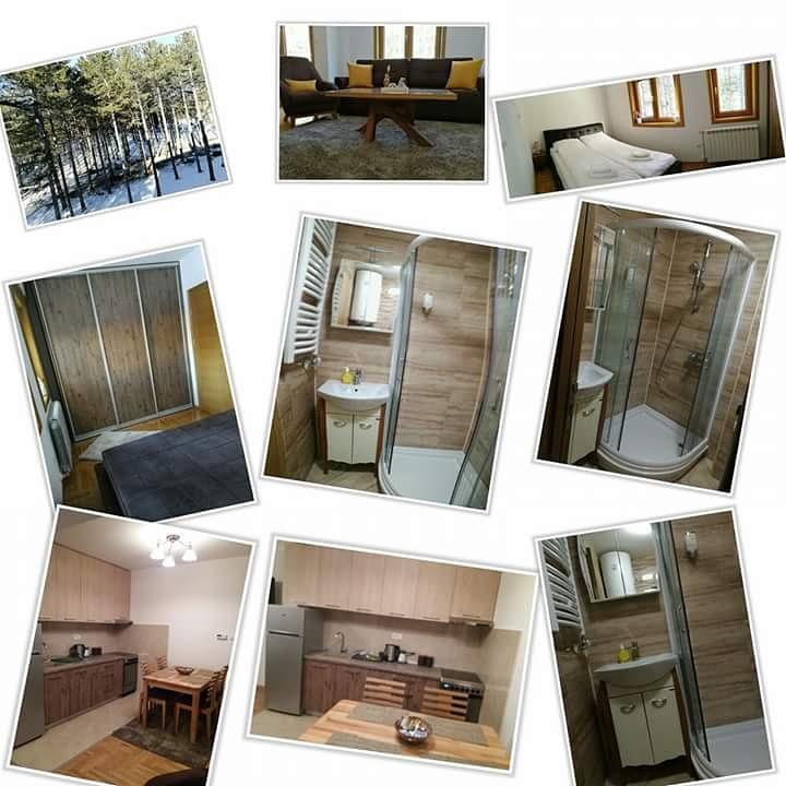 Apartment Monika ズラティボール エクステリア 写真